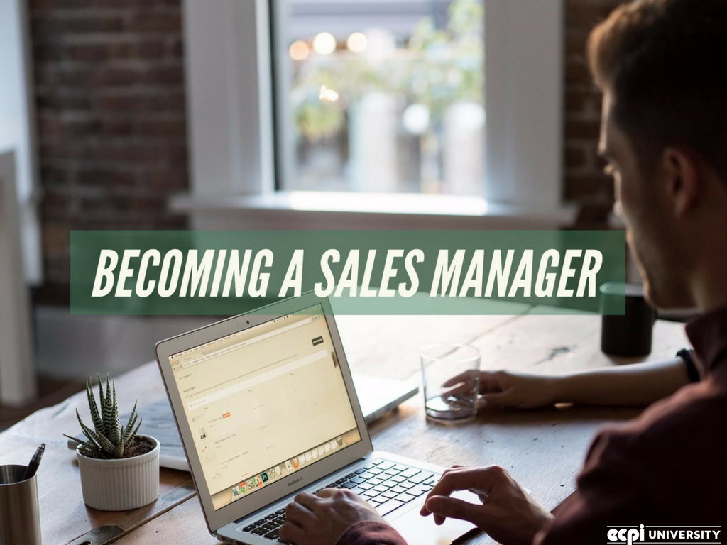 how do you become a car sales manager